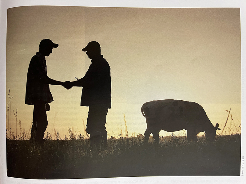 Как я готовлю изображения в журнале к офсетной печати